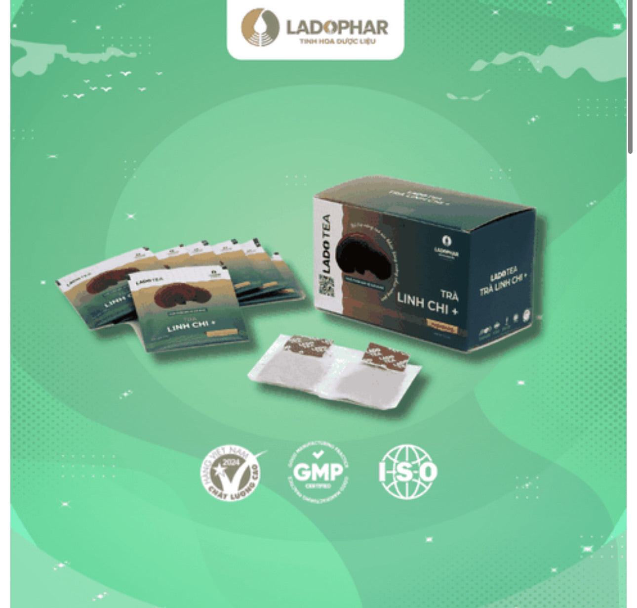 TRÀ ATISÔ LINH CHI LADOPHAR DALAT