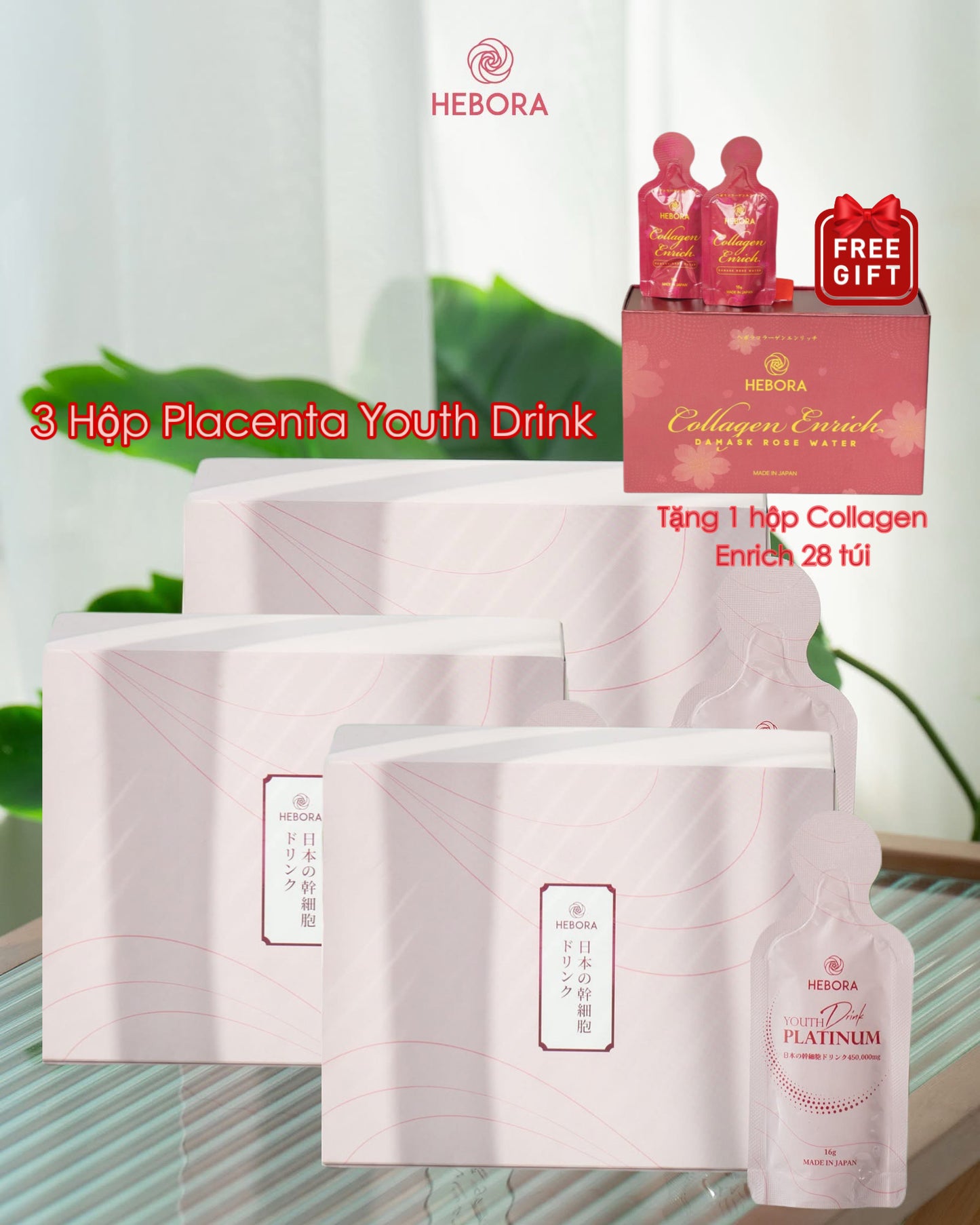 Nước uống tế bào gốc Placenta Hebora