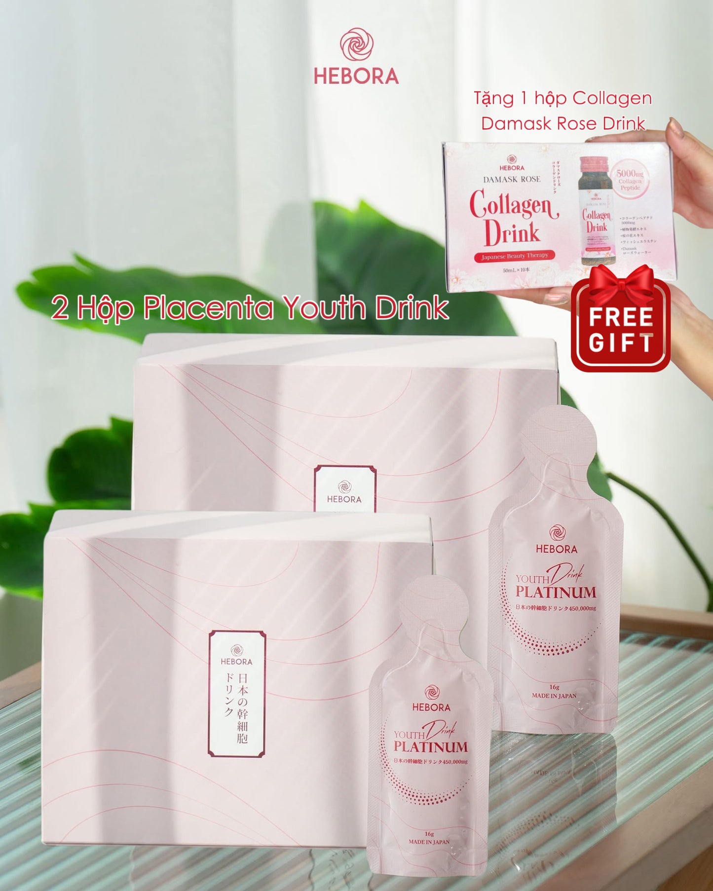 Nước uống tế bào gốc Placenta Hebora