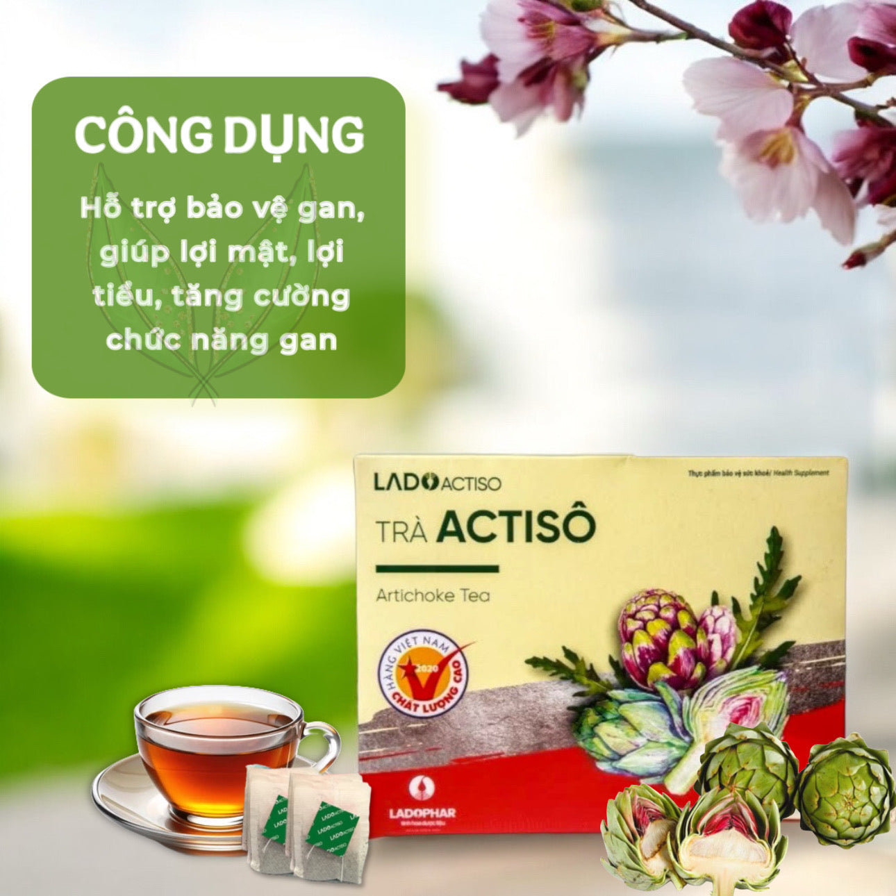 TRÀ ATISÔ TÚI LỌC LADOPHAR DALAT - HỘP 100 TÚI