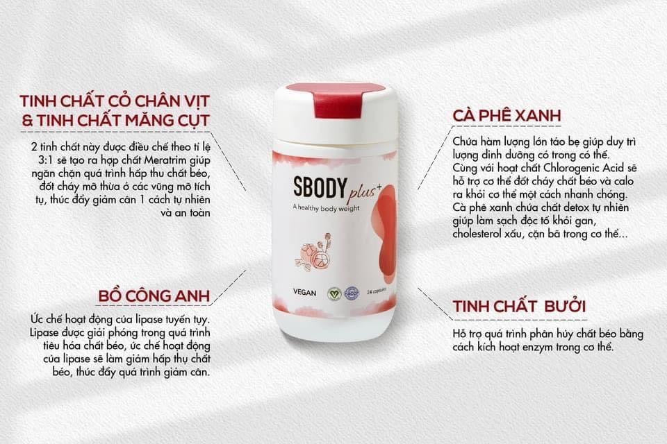 VIÊN UỐNG DETOX GIẢM CÂN SBODY PLUS+