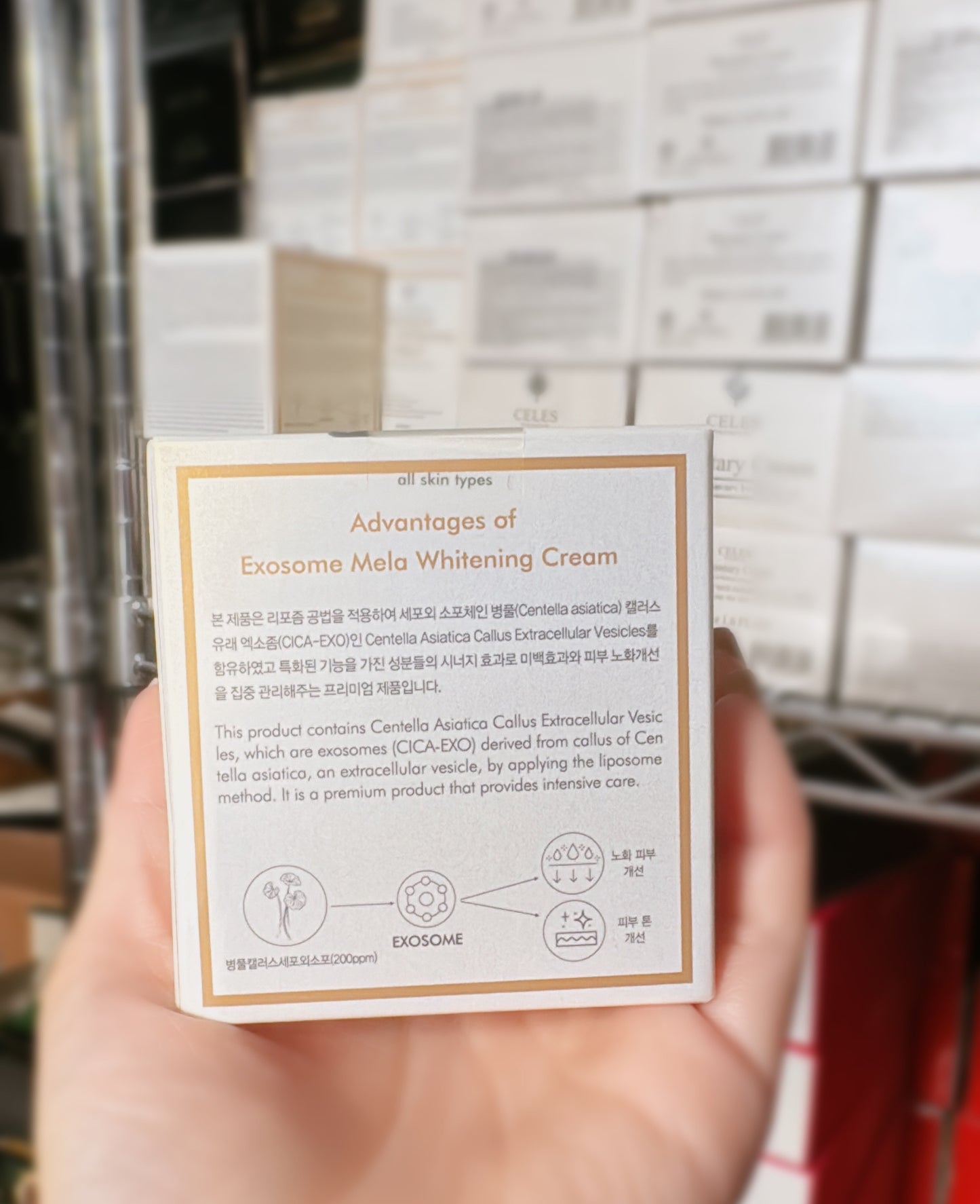 EXOSOME MELA WHITENING CREAM