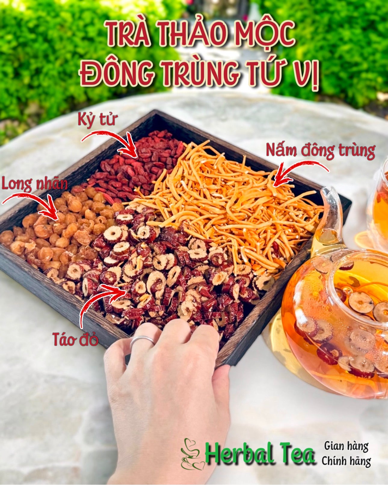 Trà Thảo Mộc Đông Trùng Tứ Vị