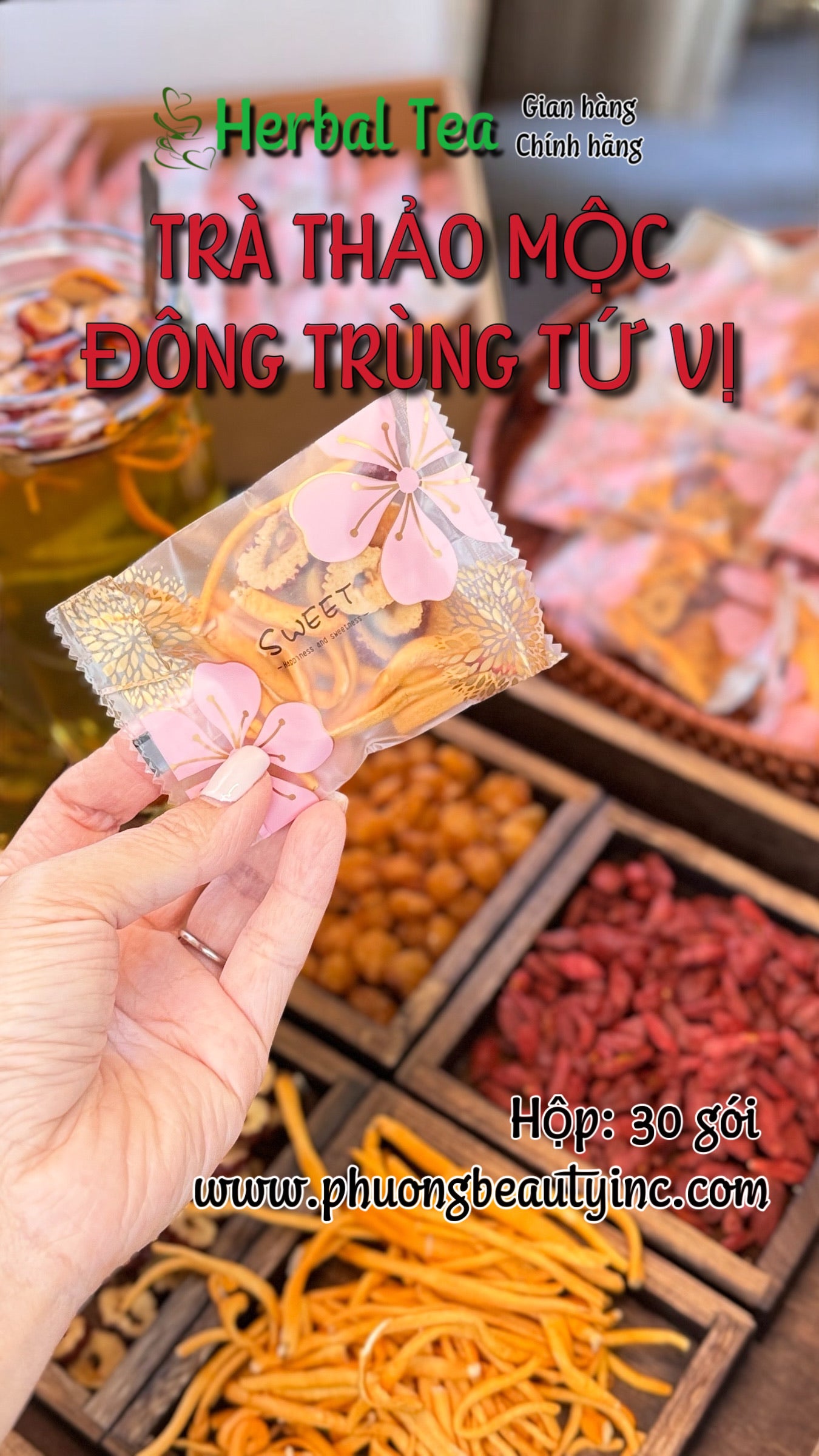 Trà Thảo Mộc Đông Trùng Tứ Vị