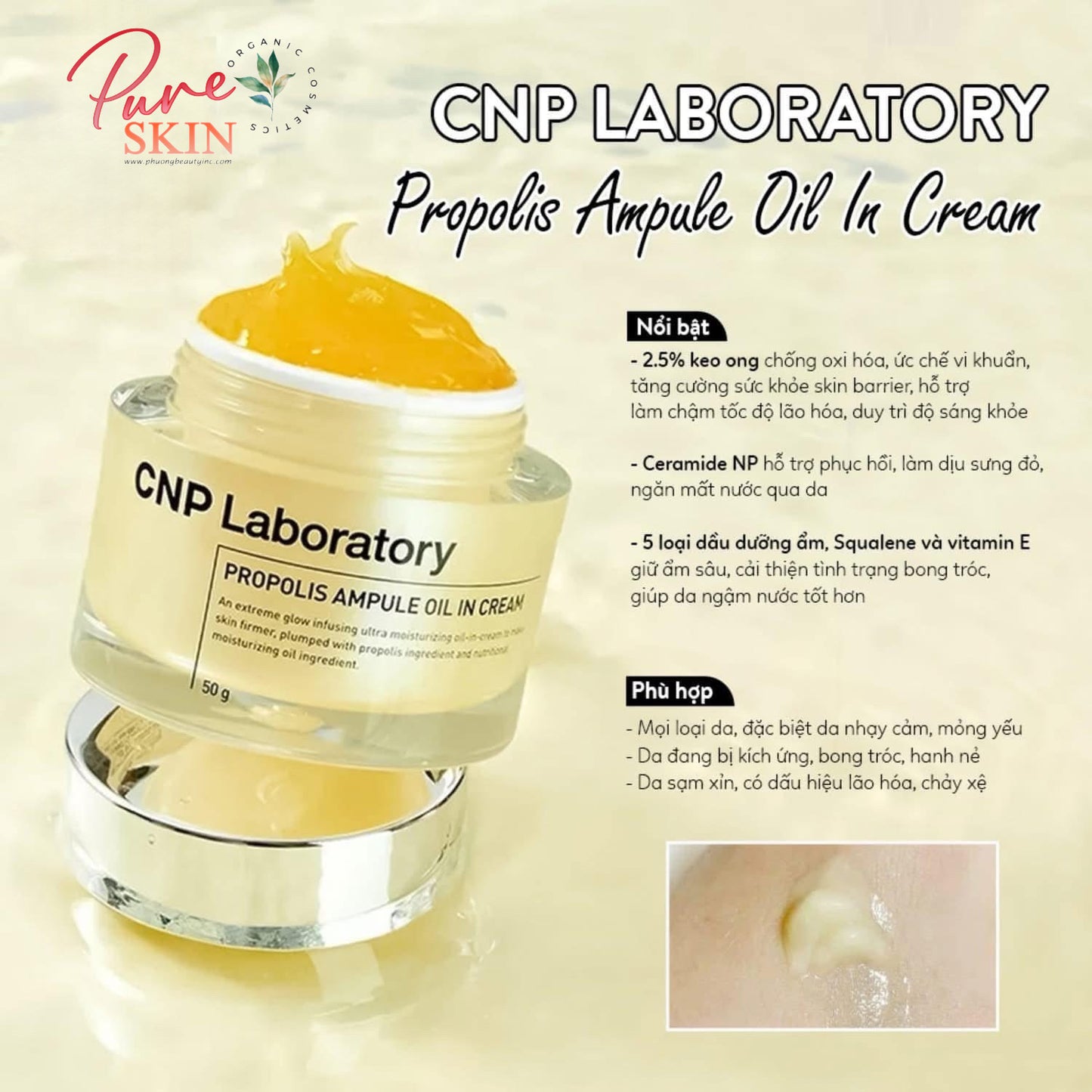 𝐂𝐍𝐏 𝐋𝐀𝐁𝐎𝐑𝐀𝐓𝐎𝐑𝐘 𝐏𝐑𝐎𝐏𝐎𝐋𝐈𝐒 𝐀𝐌𝐏𝐔𝐋𝐄  𝐎𝐈𝐋 𝐈𝐍 𝐂𝐑𝐄𝐀𝐌