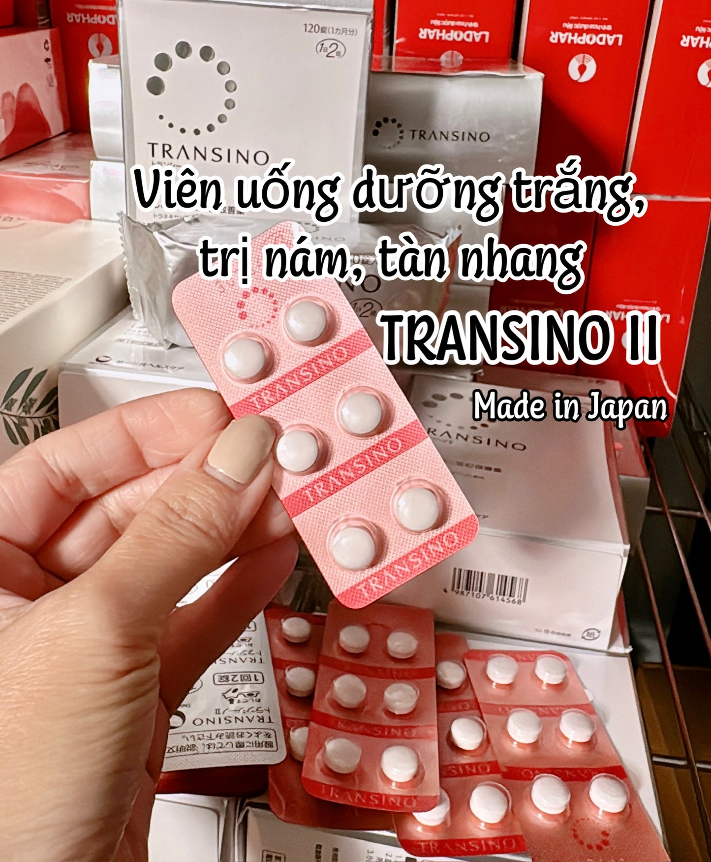 TRANSINO II - VIÊN UỐNG TRỊ NÁM SỐ 1 NHẬT BẢN 🇯🇵