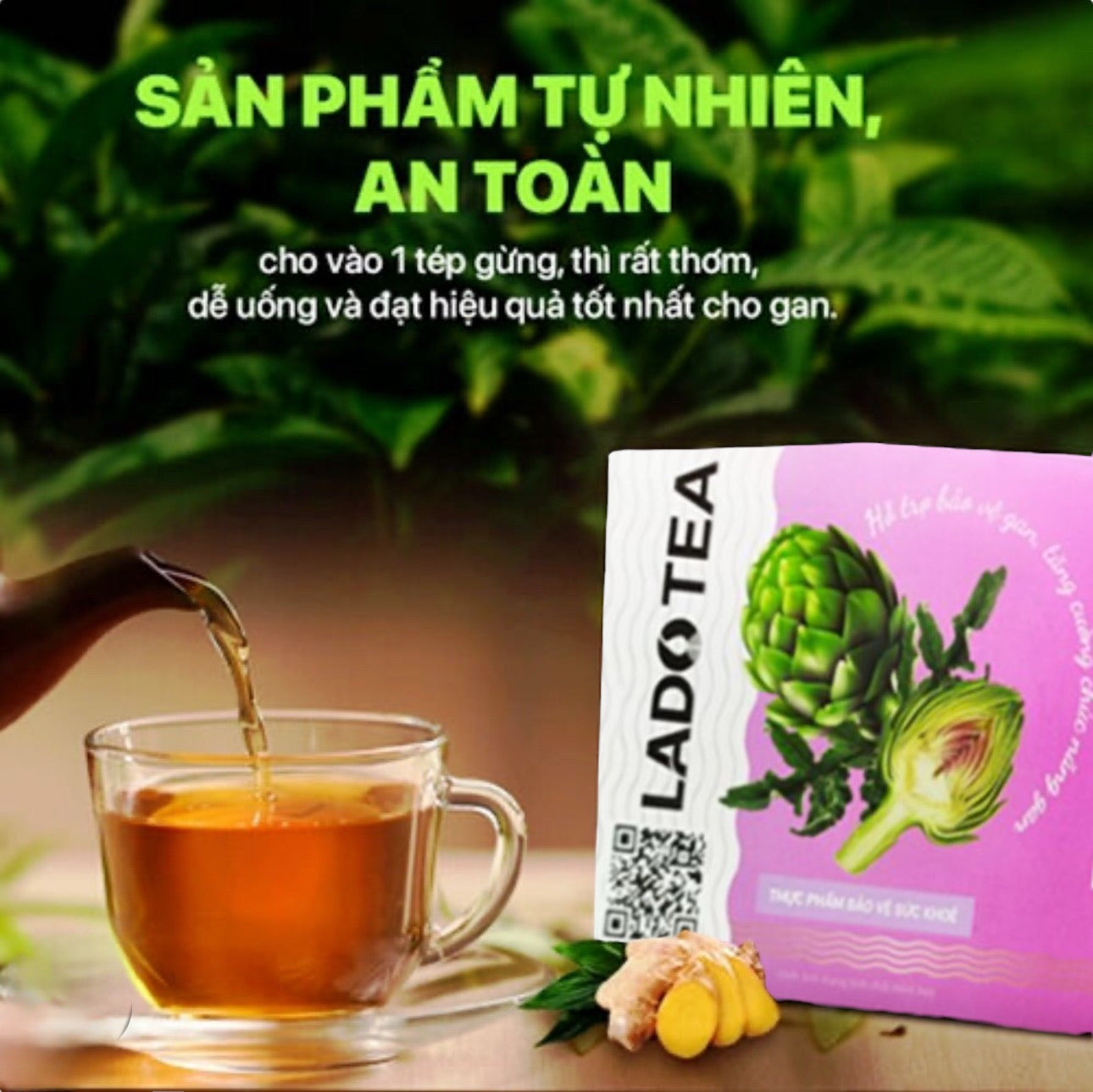 Trà Atisô Nhất Diệp Nguyên Hương LADO TEA